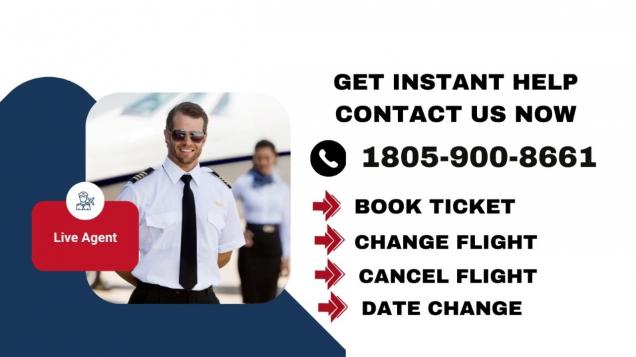 American Airlines Flight Reservation Number - How To Contact Live Customer Service - Video | eBaum's World