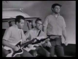 The Beach Boys unplugged