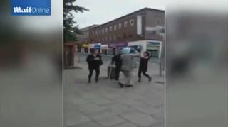 Girl Beats Up And Spits on an 80 Year Old Sikh Man