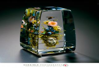 24 Insanely Beautiful Glass Paperweights - Pop Culture Gallery | eBaum ...