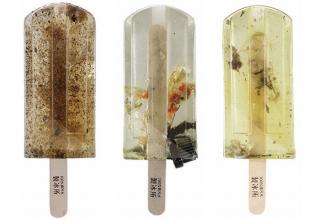 Three students from the National Taiwan University of Arts recently created a batch of such popsicles from dirty water. But their gross treats aren't meant to be eaten ? instead, they aim to raise awareness for Taiwan's overwhelming pollution issue.