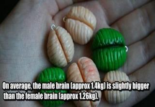 25 awesome facts about the human brain.