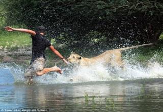 A man finds a lioness alone and they become best friends