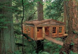 24 Badass Treehouses That'll Make You Feel Like A Kid Again - Wow ...