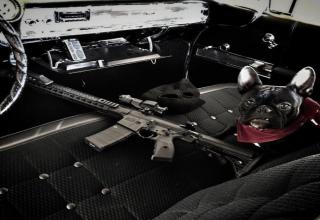 35 Images Of Totally Random Randomness | eBaum's World