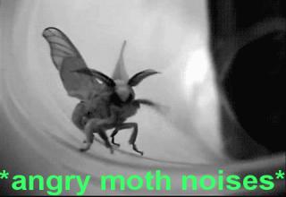 Oh, noes, it's Mothra!