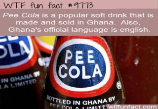 Fun facts for all your trivial pursuits.