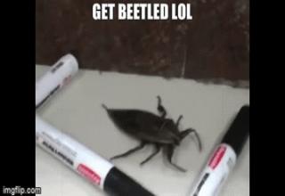 Some of these may bug you.