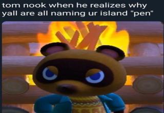 Shook Nook