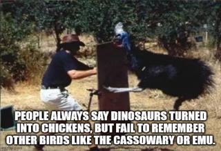 Be cassoWARY