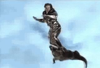funny all GIFS from around the web