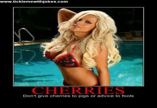 You'll probably know them. They're created by the most creative smart-asses on the net. They don't really have a good use, but they make me smile: Hot Babes Motivational Posters Vol 1