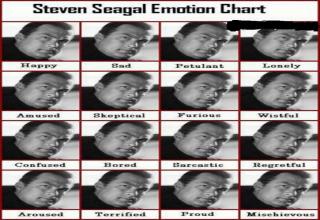 Steven Seagal Emotion Chart