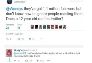 20 Most Savage Wendy’s Twitter Roasts Ever - Funny Gallery | eBaum's World