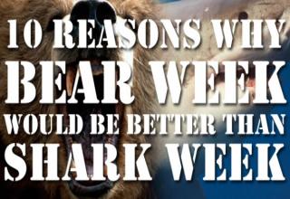 10 reasons why BEAR week would be better than SHARK week 