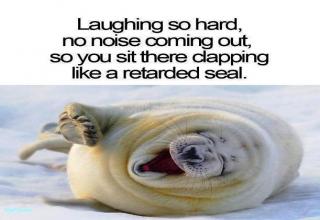 Retarded Seal ;) - Picture | eBaum's World