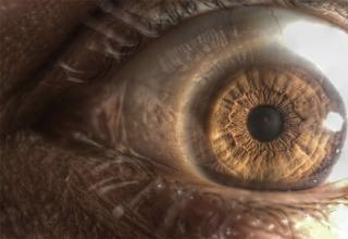7 Highly detailed images of various eyeballs...