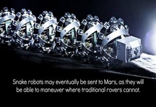 30 Scientific Facts That Will Blow Your Mind - Science & Technology