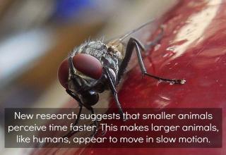 30 Scientific Facts That Will Blow Your Mind - Science & Technology