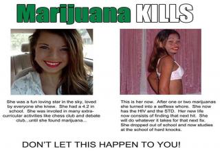 A dump of weed related pictures