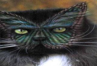 Believe it or not people paint their cats. Here are some examples.