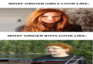Jokes about ginger people and other funny pictures.