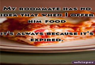 Horrible stories from people who hated their roommates.