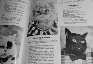 A very funny yearbook for cats.