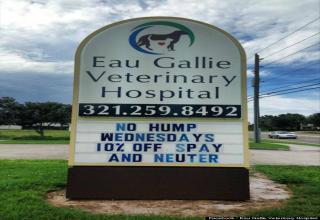 Awesome advertisement signs from a veterinarian.