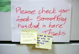 The workplace refrigerator can be a battle ground for passive aggressive notes.