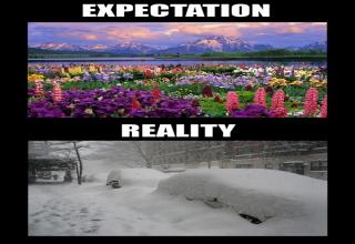 21 Expectations VS Realities - Funny Gallery | eBaum's World
