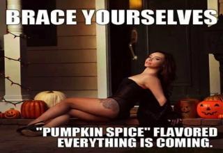 Summer is officially over, and you know what that means — PUMPKIN EVERYTHING! *The sound of white girls everywhere rejoicing*. Time to cozy up in a scarf, crunch some leaves in your ugg boots, and sip that PSL by the fire. It’s literally the best season ever. What’s that? You’re not on board? You don’t even like pumpkin spice? HOW DARE YO