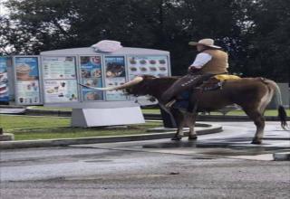 44 Smooth Pics to Vibe with in a Humorous Mood - Funny Gallery | eBaum ...