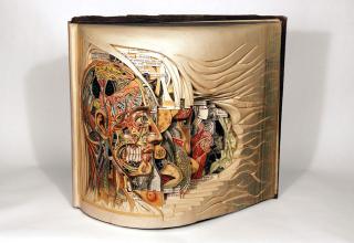 Artist Brian Dettme calls himself the Book Surgeon because he uses knives, tweezers, and surgical tools to carve the art works out of old medical journals, illustration books, dictionaries, map books and encyclopedias...