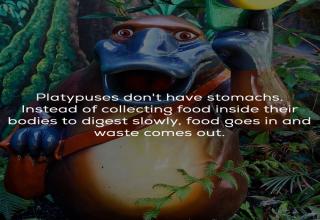 22 Unbelievable Facts That Will Astound You - Wow Gallery | eBaum's World