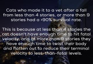 22 Unbelievable Facts That Will Astound You - Wow Gallery | eBaum's World