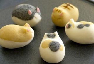 Very talented confection artist creates cakes, doughnuts, and nerikiri in the shape of cats and kittens. These look too cute to eat!