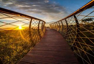 The Kirstenbosch Centenary Tree Canopy Walkway in Cape Town allows you to stroll above the landscape with breathtaking results.