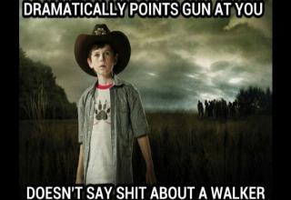 A collection of memes' from the awesome t.v. show The Walking Dead