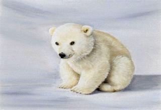 Baby Polar Bears - Feels Gallery | eBaum's World