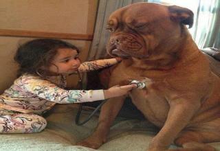 20 Pics of these kids and their furry friends.