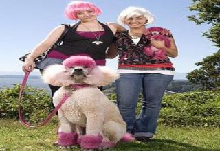 Dog and Owner Look Alikes - Gallery | eBaum's World