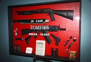 Zombie Survival Weapons