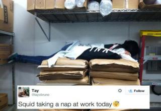 Napping at work takes skill and precision