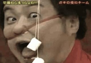 A collection of .gifs just showing how crazy Japanese game shows actually are.