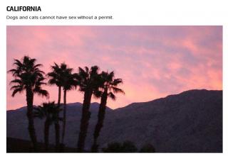 15 Bizarre Sex Laws That Exist In America - Wtf Gallery | eBaum's World