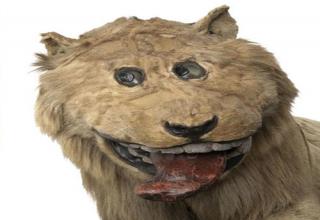20 Best Examples Of The Worst Taxidermy