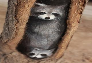 Painter Wang Yue finds places where the bark has fallen off of trees and paints brilliantly realistic scenes into the holes.