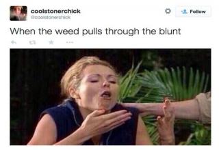 25 funny photos stoners will die laughing over.