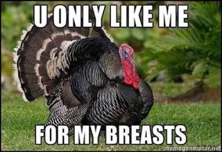 Because Gobble-gobble